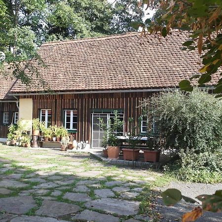 Вилла Presshaus Alte Muehle Штайнц Экстерьер фото