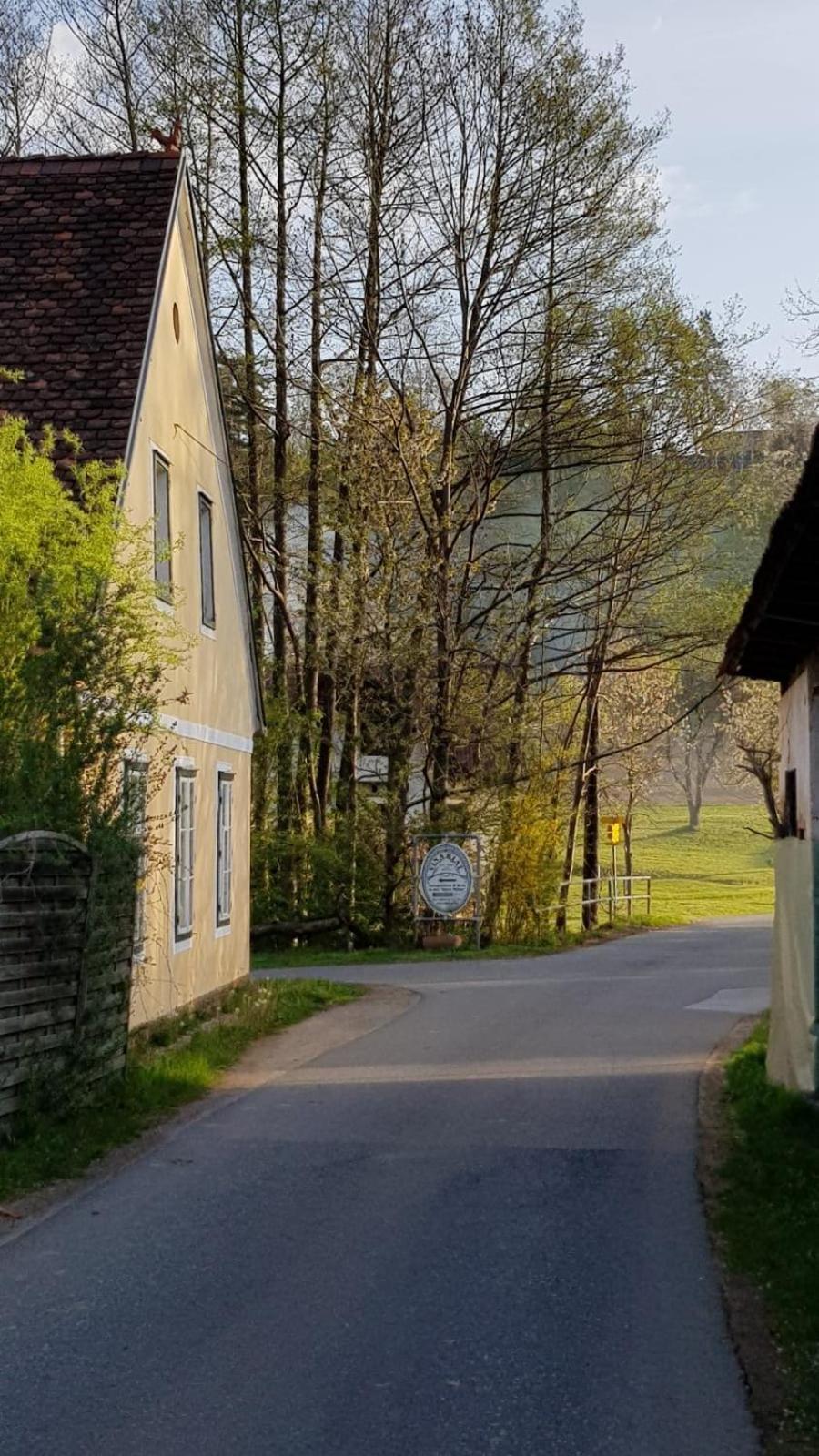 Вилла Presshaus Alte Muehle Штайнц Экстерьер фото
