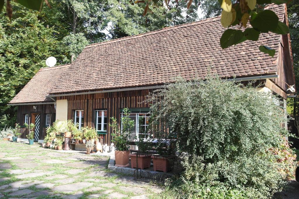 Вилла Presshaus Alte Muehle Штайнц Экстерьер фото