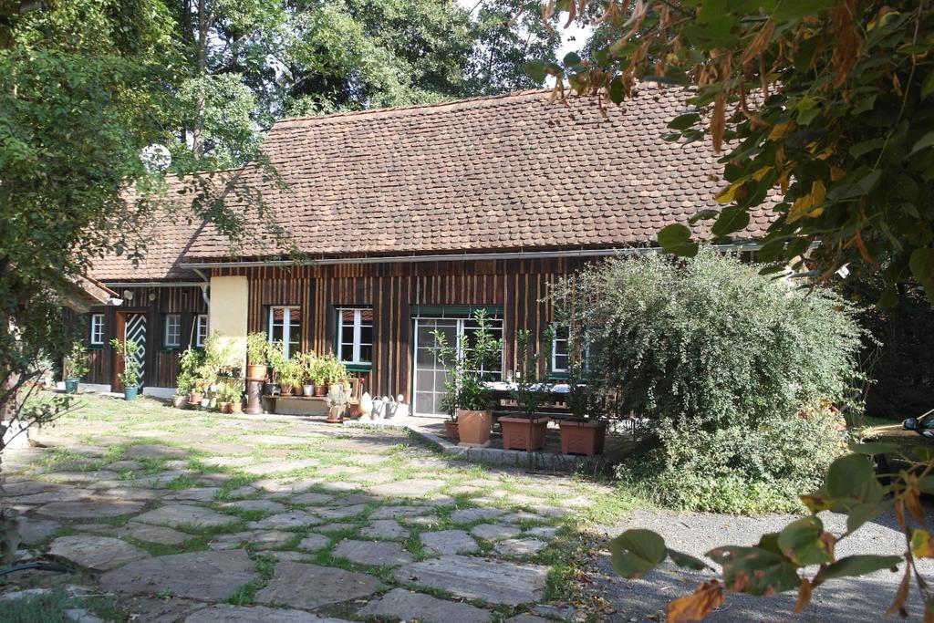 Вилла Presshaus Alte Muehle Штайнц Экстерьер фото
